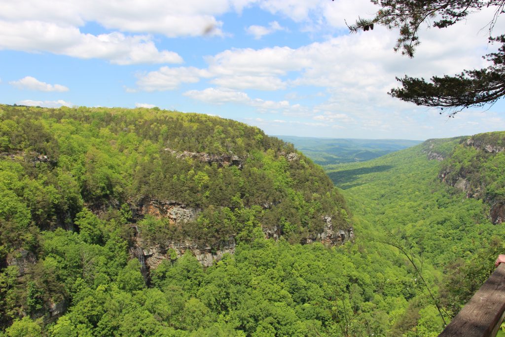Cloudland Canyon