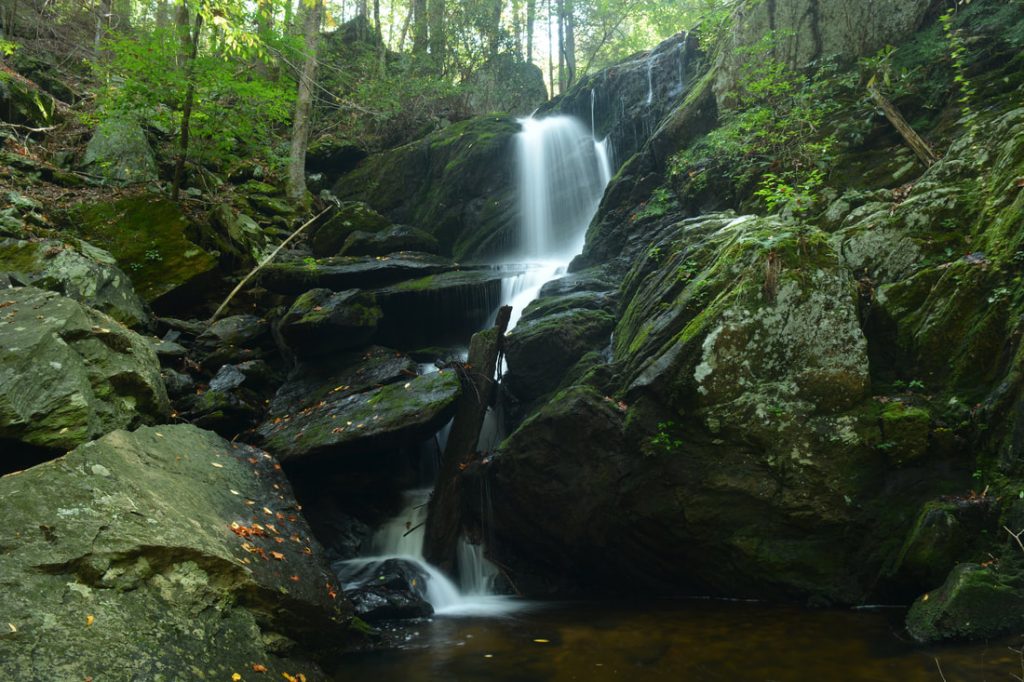 Chattahoochee-Oconee National Forest